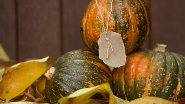 pumpkins on rustic wooden background, aautumn, thanksgiving, halloween or harvest concept. 