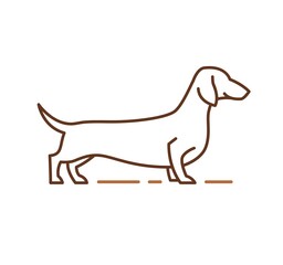 Dachshund purebred dog line icon, pet sign. Hand-drawn outline vector illustration for vet clinic, pet store advertising