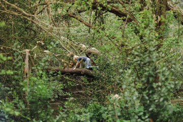 Kids climbing across log bridge over tranquil creek in the Australian bush