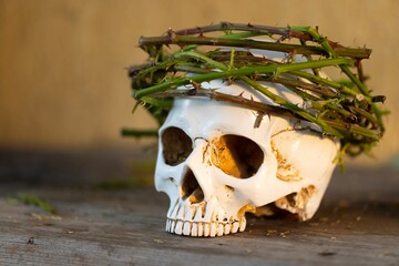 Human skull with thorns closeup photo