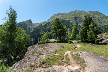 Fototapeta na wymiar Landscape between Bellwald and Aspi-Titter suspension bridge near Fieschertal