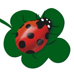ladybug red polka dots.  insect on the leaf