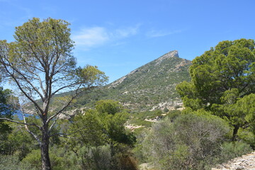 Fototapeta na wymiar Ein Panorama von der Dracheninsel, Mallorca