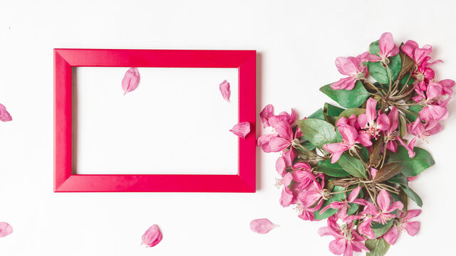 A colored frame decorated with branches of apple blossoms with green leaves on a white background of copy space. Flat vertically photo frame