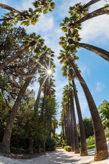 Fototapety na wymiar - Fototapeta24.pl