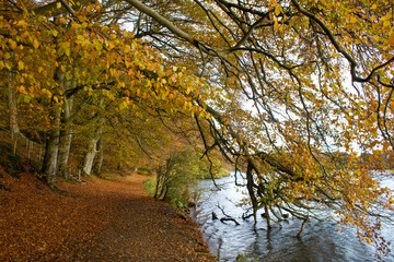Talkin Tarn Country park, Cumbria, in autumn