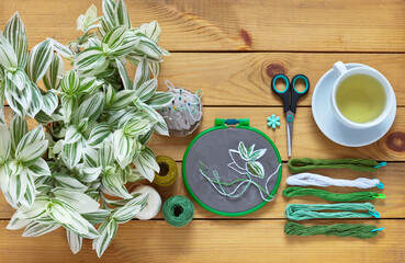 Top view of the embroidery process of popular houseplant tradescantia in variegated white and green leaves and accessories for needlework on wooden background. DIY concept. Flat lay, close-up