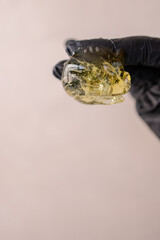 gloved hand with Professional Sugar paste for epilation. Shugaring procedure in spa salon. Hair removal with wax at home. Copy space background banner. Sweet honey composition close-up