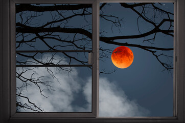 Big red wolf moon behind black branches in window view