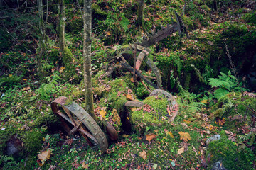 Abandoned horse-driven agricultural grass mower.