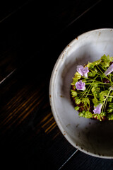 Red meat tartare decorated and plated with flowers and garden green