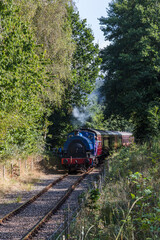Train on the Ribble Steam Railway - 459899631