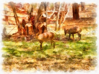 deer watercolor style illustration impressionist painting.