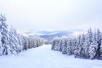 Fototapeta na wymiar Piękna biała zima, drzewa otulone śniegiem.