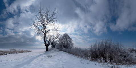 Cold winter day beautiful hoarfrost and rime on trees. Winter landscape.