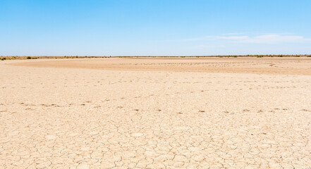 dry river bed in drought