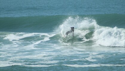 Waves