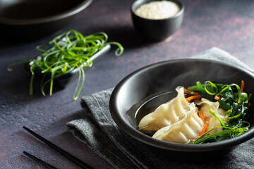 A steaming bowl of dumplings with broth and greens, against a dark background.