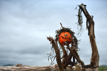 halloween pumpkin by the sea