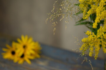 Solidago and poa grass bouquet on bokeh vintage, background with blurr rudbeckia flowers, floral, botanic background with space for text, autumn image with yellow flowers. - obrazy, fototapety, plakaty