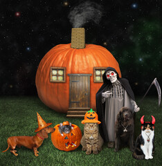 Pets and a grim reaper are near a pumpkin house for Halloween at night.