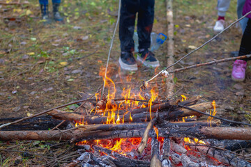 roast marshmallows on a campfire in the woods on a hike