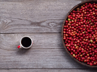 Close up of unroasted coffee beans. A cup of espresso and red berries coffee beans on wooden background. A coffee bean is a seed of the Coffea plant and the source for coffee. 