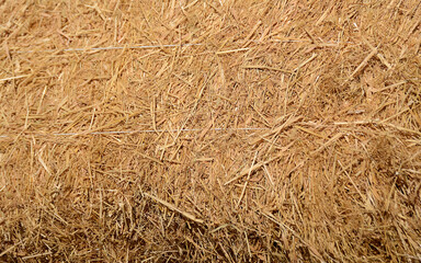 background of dry grass, hay