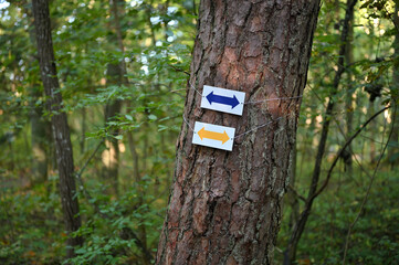 Color arrows, direction sign on the trail path