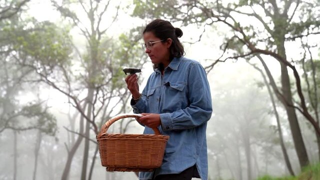 Woman with indigo milk cap mushroom in forest