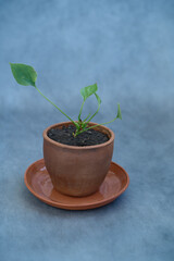 Ceramics, a ceramic product made with your own hands, made on a potter's wheel, a jug, a mug, clay.