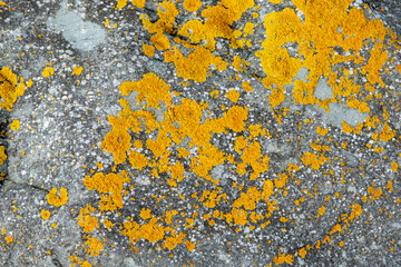 Rochers en Bretagne, texture