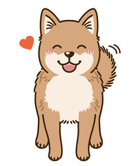 懐く北海道犬（赤）