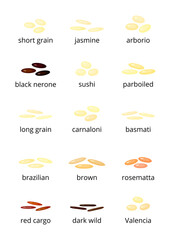 Types of rice.