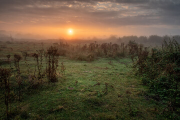 Sunrise over misty Croxley Common Moor park, Hertfordshire, UK