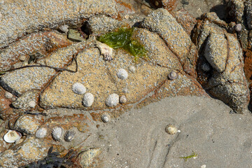Rochers en Bretagne, texture