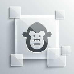 Grey Monkey icon isolated on grey background. Animal symbol. Square glass panels. Vector