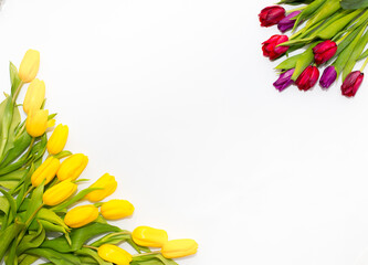 Красиво разложены цветы. Набор тюльпанов на белом фоне. Открытка на 8 марта, день матери и любой праздник.