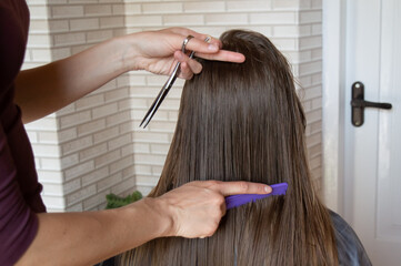 woman hairdresser cuts wet long hair with scissors at home.