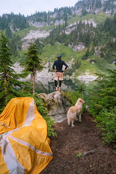 Backpacking with a dog in the alpine lakes wilderness