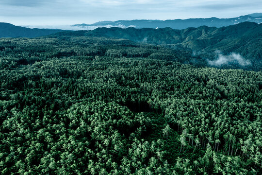 Aerial image of forested mountains in Japan
