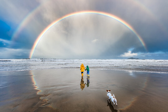 Dog running after children under double rainbow at beach