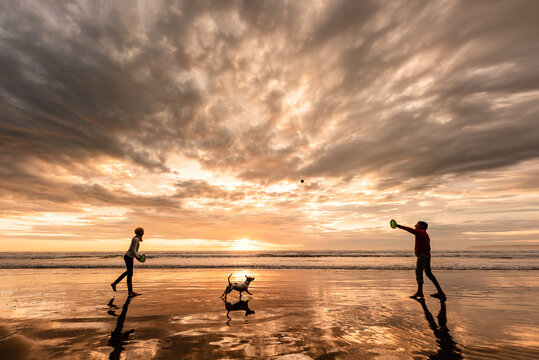 Two teenagers and dog playing with ball on New Zealand beach