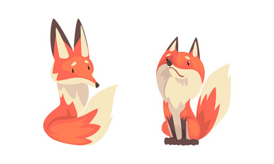 Fox Animal with Upright Ears, Pointed Snout and Long Bushy Tail in Different Poses Vector Set