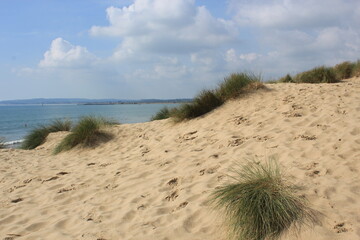 Camber sands East Sussex UK - view of Camber Sand dunes with sky and sea dunes held together with...