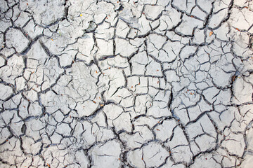 Dry ground, dead leaves on it. Textured. Selected focus.