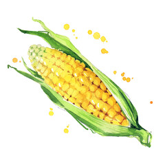 juicy ear of corn watercolor ilustration - 459916894