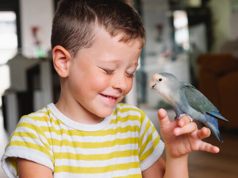 Smiling boy with small domestic parrot on hand
