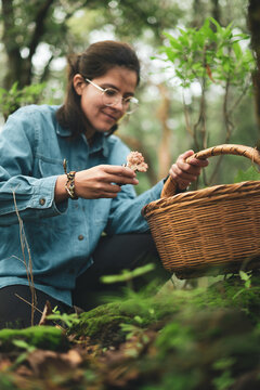 Woman collecting mushroom and putting into basket