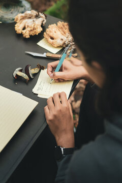 Woman writing names of mushrooms on paper